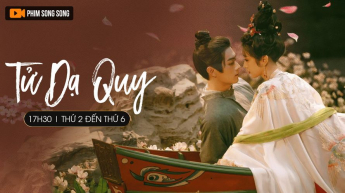 Tử Dạ Quy
