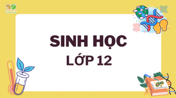 Sinh học - Lớp 12 - Bộ sách Kết nối tri thức với cuộc sống