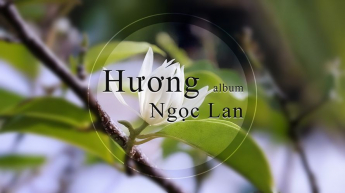 Album Hương Ngọc Lan 