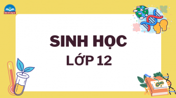 Sinh học - Lớp 12 - Bộ sách Chân trời sáng tạo